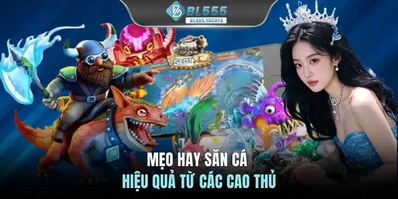 Mẹo hay săn cá hiệu quả từ các cao thủ