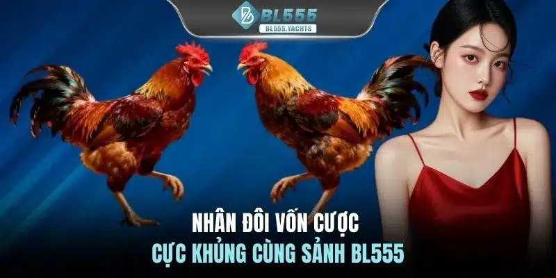 Nhân đôi vốn cược cực khủng cùng sảnh BL555